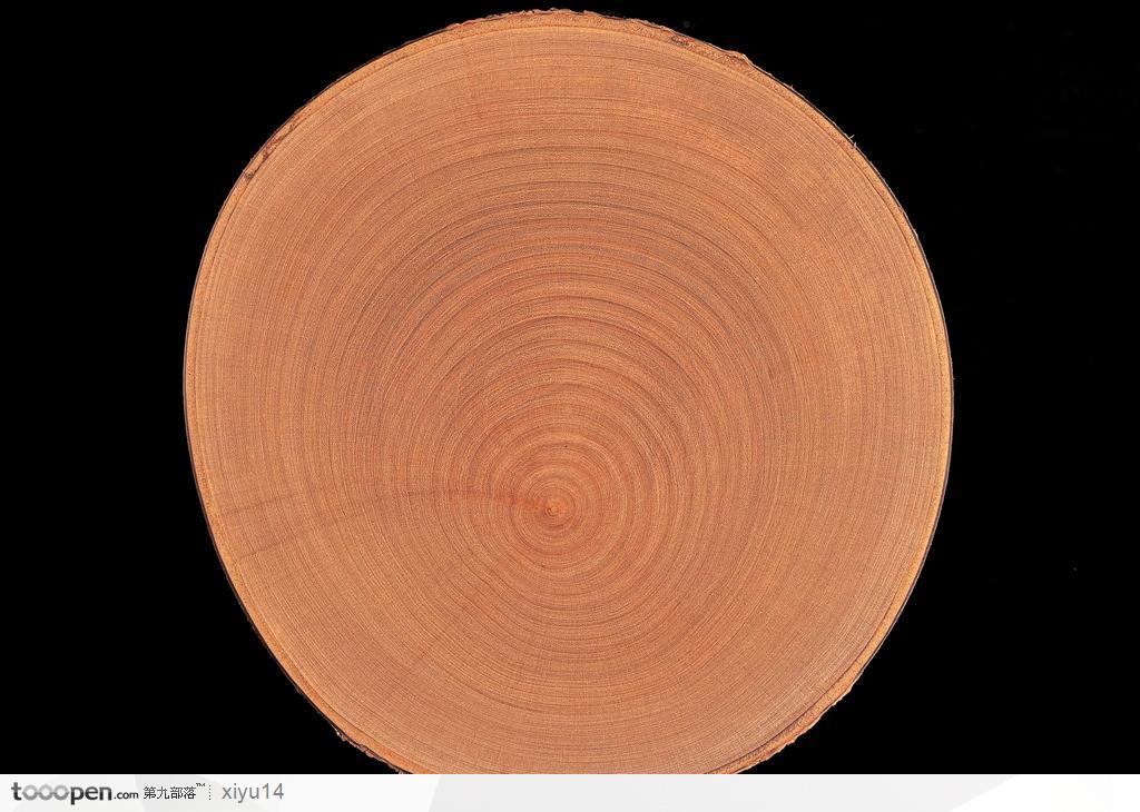 木纹板材机理效果-环形的树纹