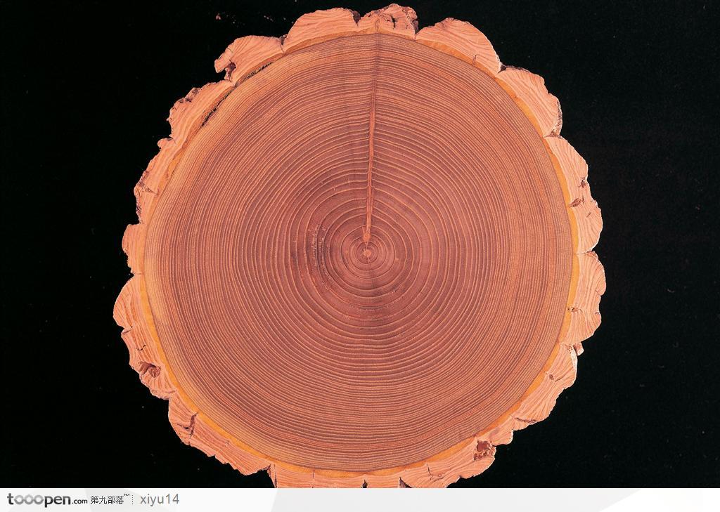 木纹板材机理效果-漂亮的树年轮