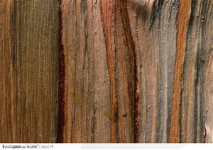 木纹板材机理效果-褐色的树皮纹理