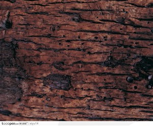 木纹板材机理效果-褐色的树皮纹理