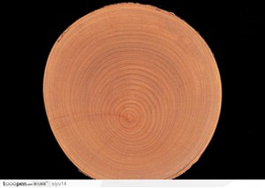 木纹板材机理效果-环形的树纹