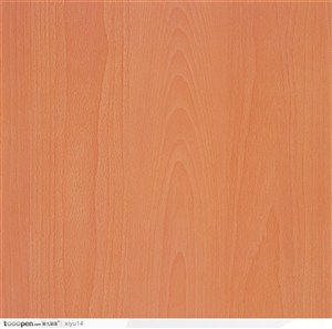 木纹板材机理效果-简洁树纹的木纹