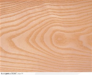木纹板材机理效果-漂亮的卡其色树纹