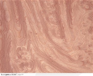 木纹板材机理效果-浅褐色的树纹