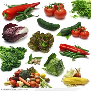 非常多的创意蔬菜高清图片生菜 西兰花 黄瓜等