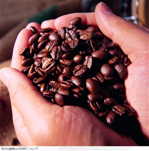 咖啡物语-手中的咖啡豆
