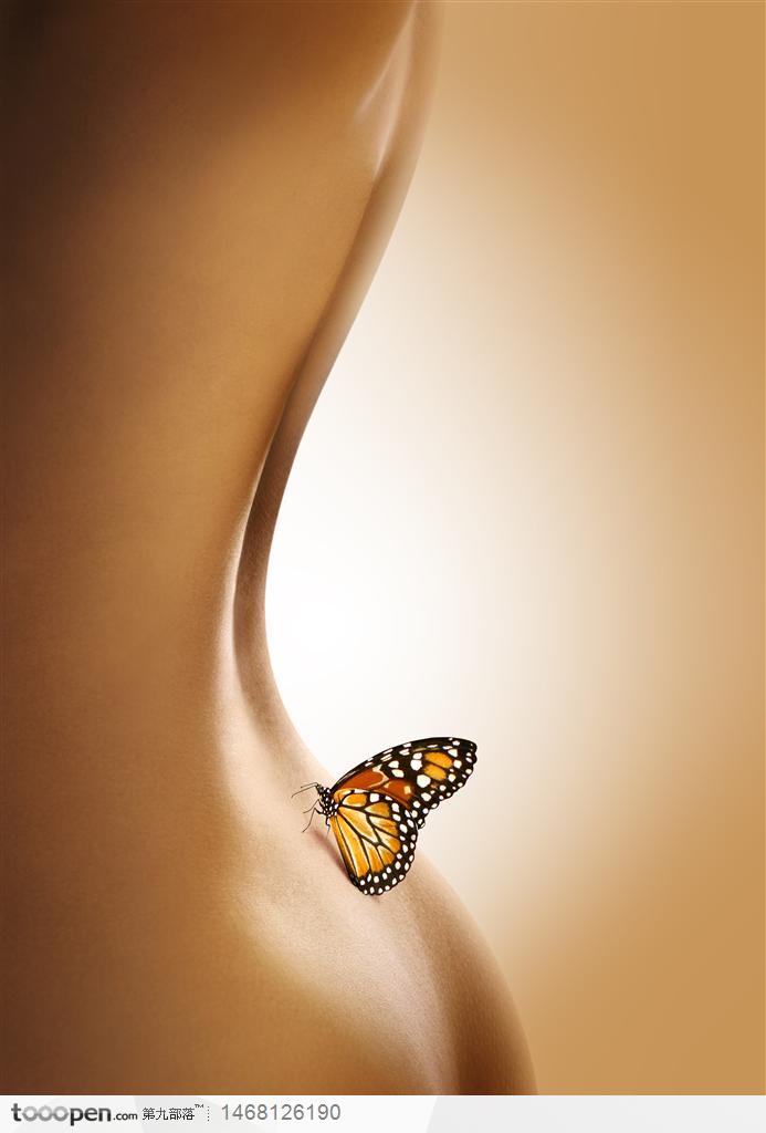 性感的美女背部停着美丽的蝴蝶