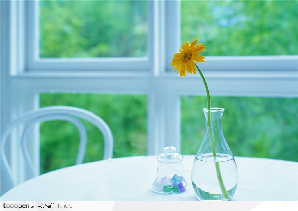 窗户旁边左面上的玻璃杯子中的菊花