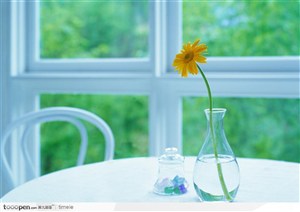 窗户旁边左面上的玻璃杯子中的菊花