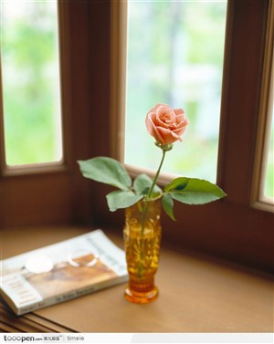 室内角落桌子上的书本和瓶中玫瑰
