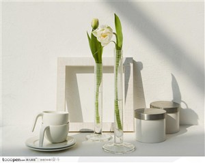 茶杯花瓶白墙绿色插花素雅高清壁纸桌面图片
