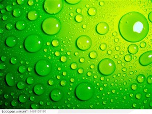绿色晶莹剔透的水滴背景