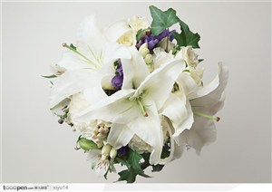 插花物语-漂亮的白色百合花
