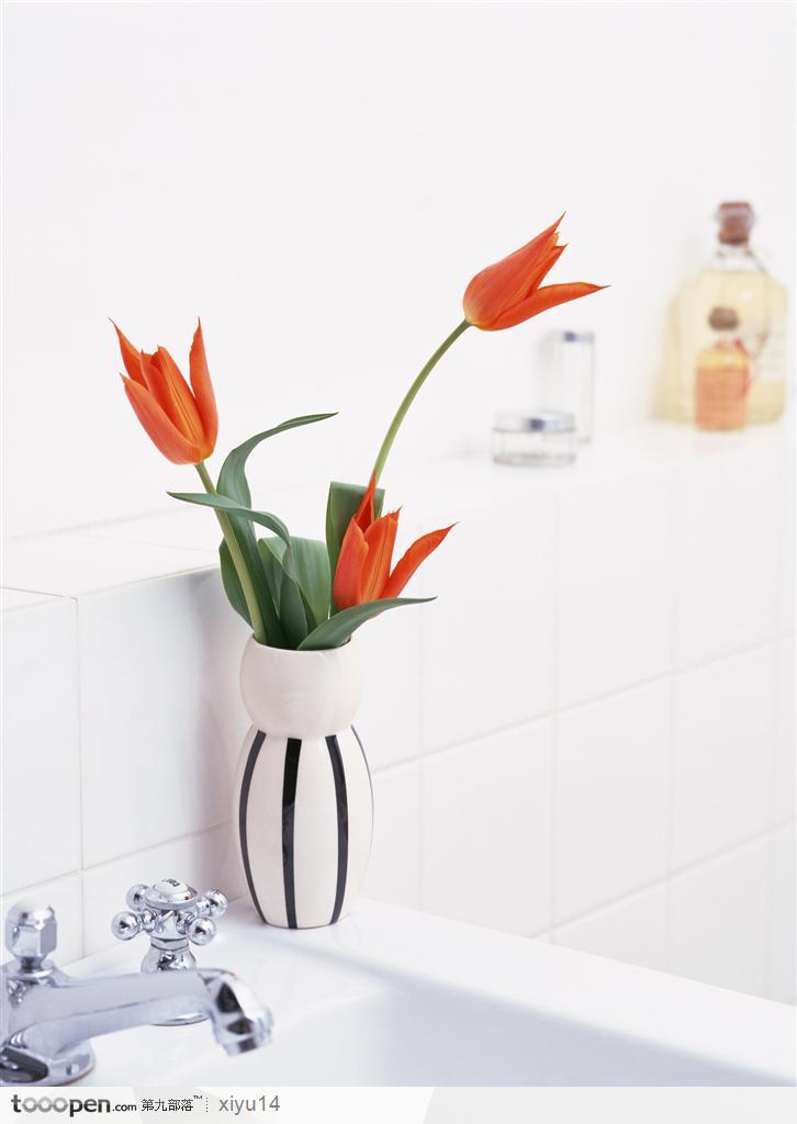 插花物语-漂亮花瓶中的郁金香