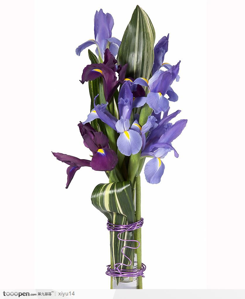 插花物语-紫色的百合花