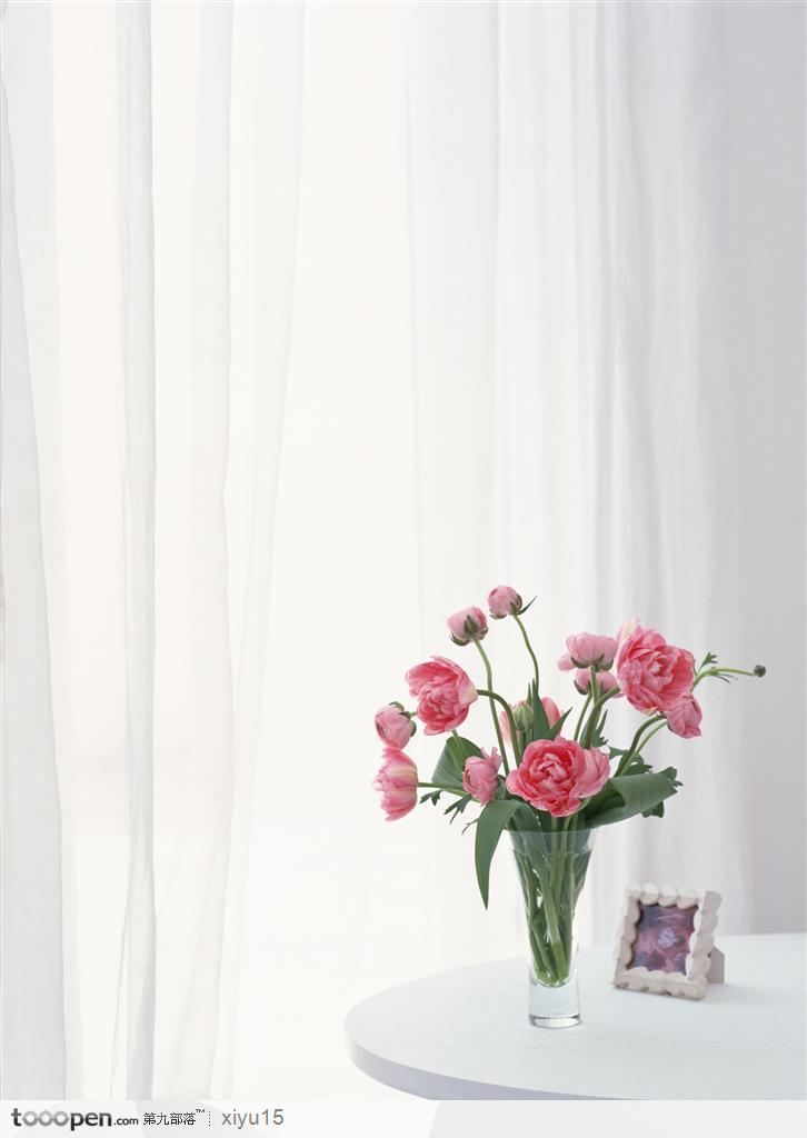 插花物语-窗边的粉色玫瑰