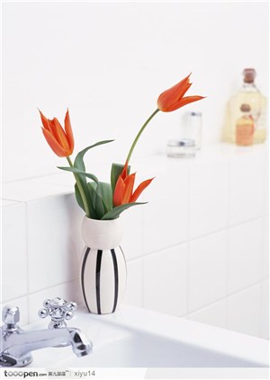 插花物语-漂亮花瓶中的郁金香