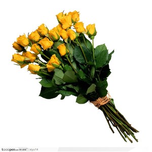 插花物语-一束黄色的玫瑰