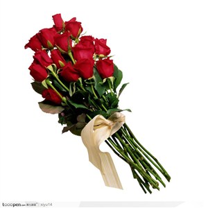 插花物语-一束捆好的红玫瑰