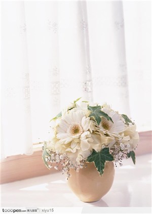 插花物语-白色的小菊花