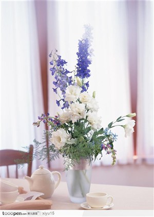 插花物语-餐桌上的白玫瑰