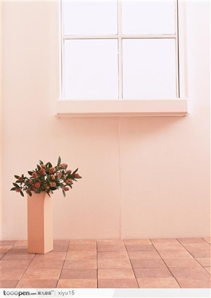 插花物语-窗台下的鲜花