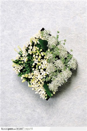 插花物语-盒中的白色鲜花