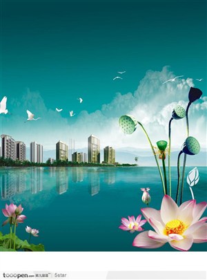 荷塘月色房地产广告－－湖水中的荷花莲花