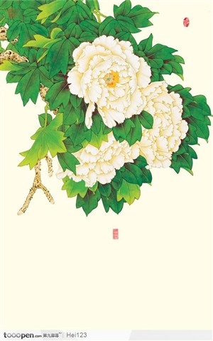 中国工笔花鸟画－－富贵牡丹花