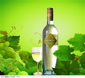 葡萄酒广告－－酒瓶 高脚酒杯和葡萄藤
