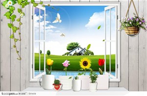 窗外绿草地上窗户吊兰和花卉的别墅