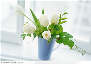 插花物语-花瓶中的白色郁金香