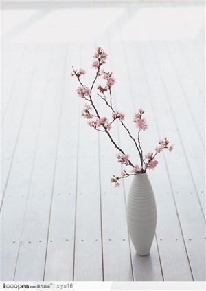 插花物语-花瓶中的粉色梅花