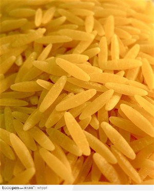 稻谷农作物-一粒粒大米