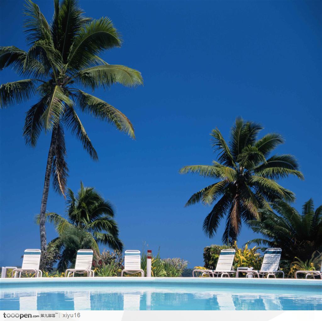 海滩休闲生活-游泳池旁的高大椰树