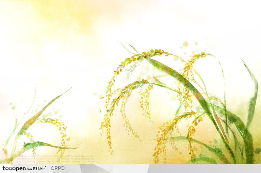 手绘水彩插画金秋成熟的麦穗农产品