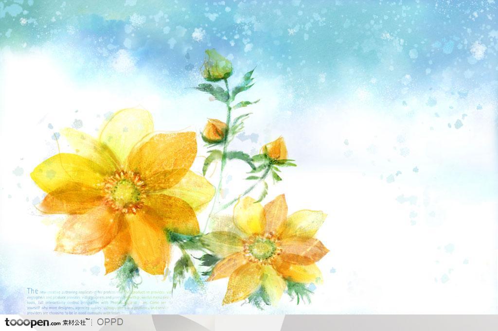 手绘水彩插画春夏盛开的大黄花花朵花卉装饰