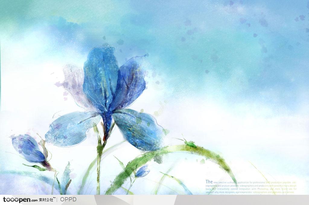 手绘水彩插画春夏盛开的蓝色萱草花朵花卉装饰