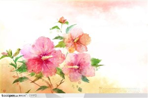 手绘水彩插画春夏盛开的红色花朵花卉装饰