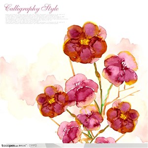 手绘水彩插画春夏盛开的红色木槿花朵花卉装饰