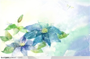 手绘水彩插画春夏盛开的蓝色花花朵花卉装饰