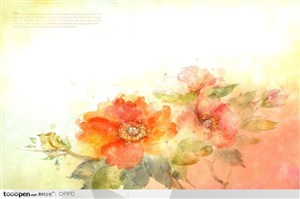 手绘水彩插画春夏盛开的红色花朵花朵花卉装饰
