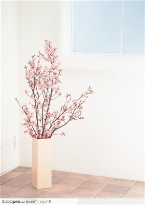插花物语-木桶中的粉色梅花