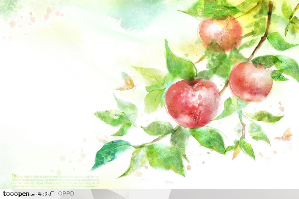手绘水彩插画春夏成熟的大红苹果枝叶装饰