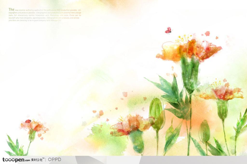 手绘水彩插画春夏盛开的康乃馨花朵花卉装饰