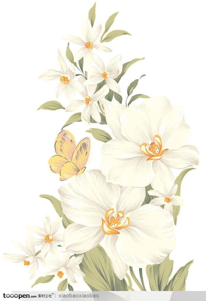 手绘水彩画白色花百合花鲜花和蝴蝶