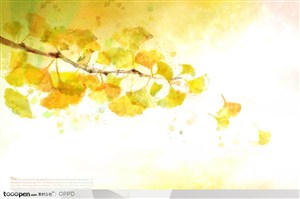 手绘水彩插画春夏茂盛的水墨银杏树树枝装饰