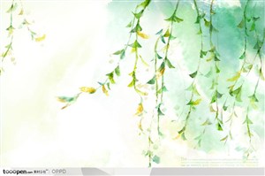 手绘水彩插画春夏茂盛的水墨柳树树枝