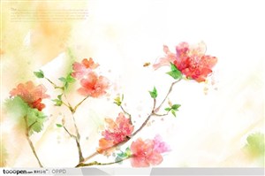 手绘水彩插画春夏盛开的红色杜鹃花花朵花卉装饰