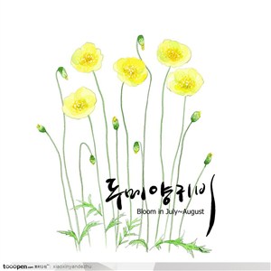 手绘花卉-黄色小花